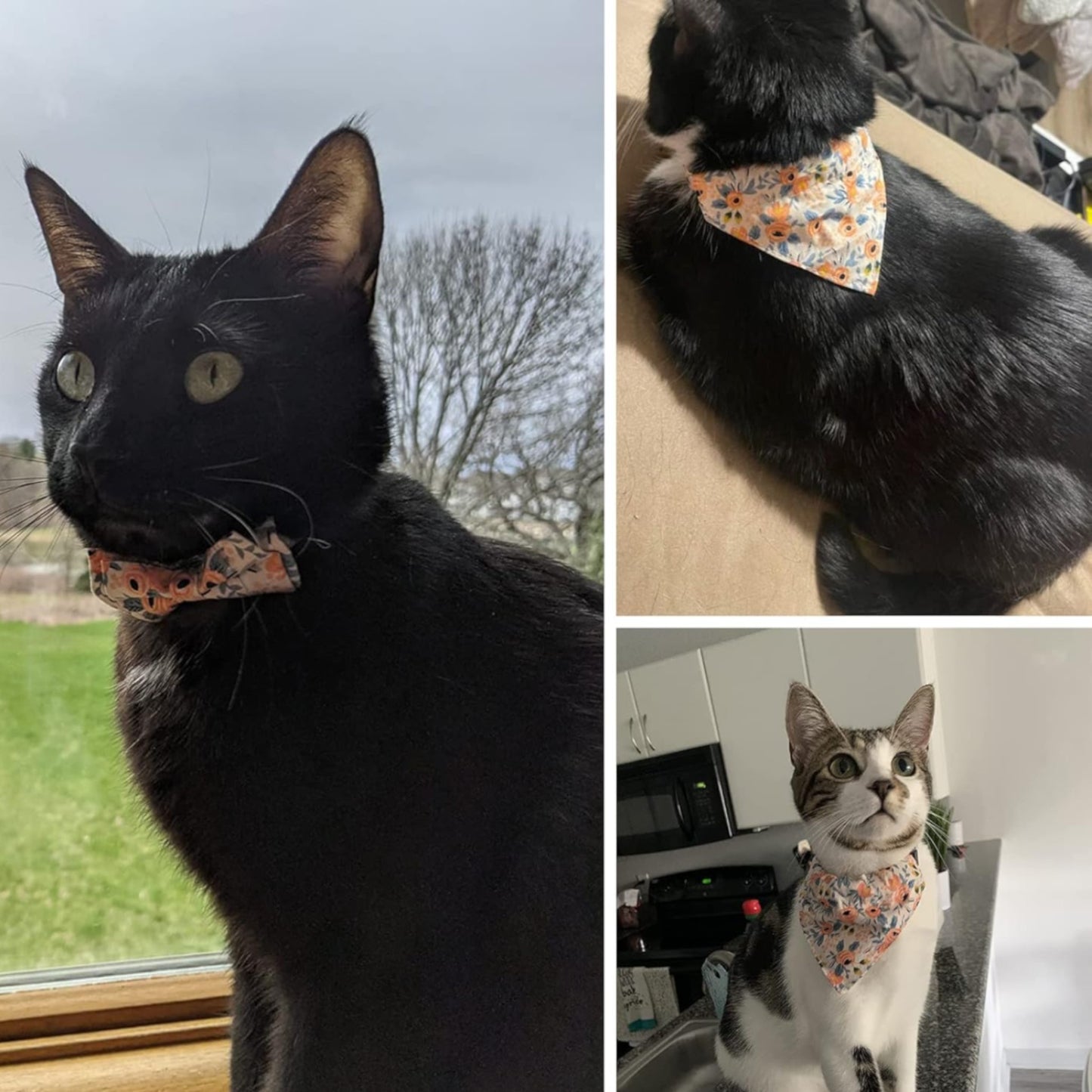 Collares Bandana