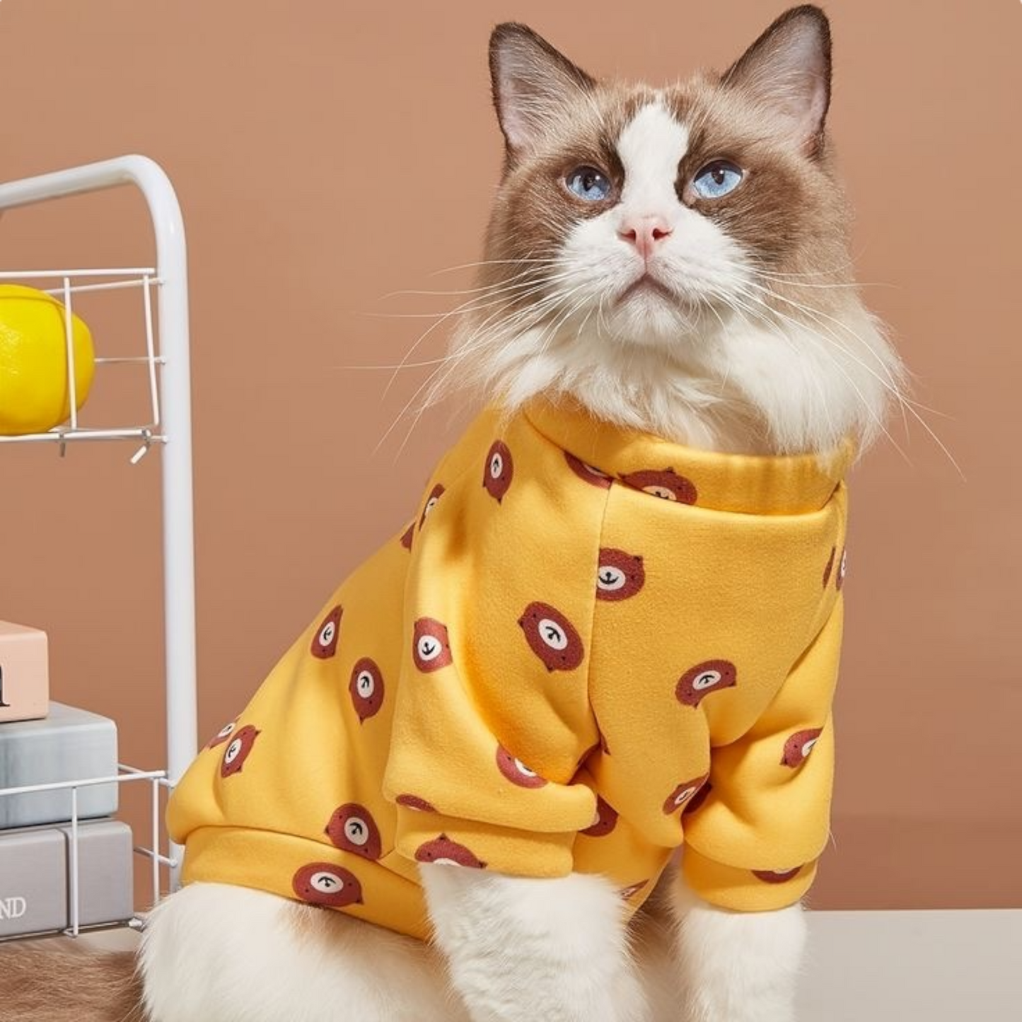 Polera Osito