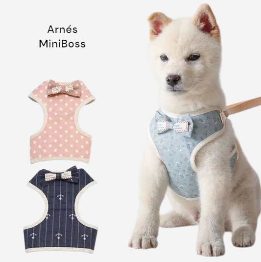 MiniBoss