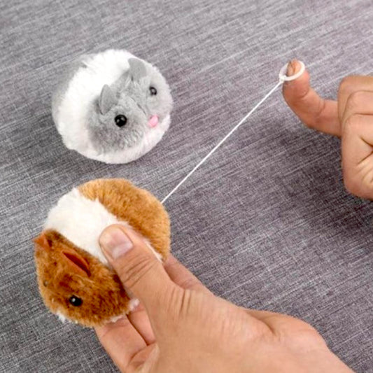 Ratón con Cuerda