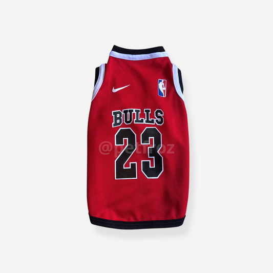 Camiseta Bulls