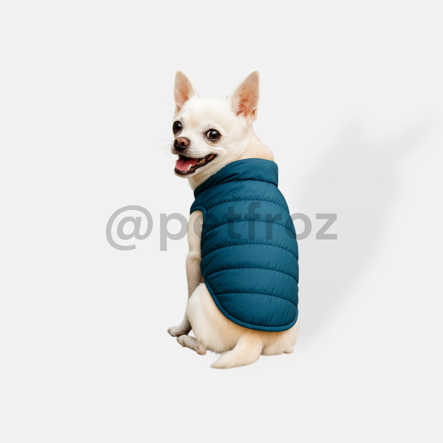 Chaleco Green Vest Trendy