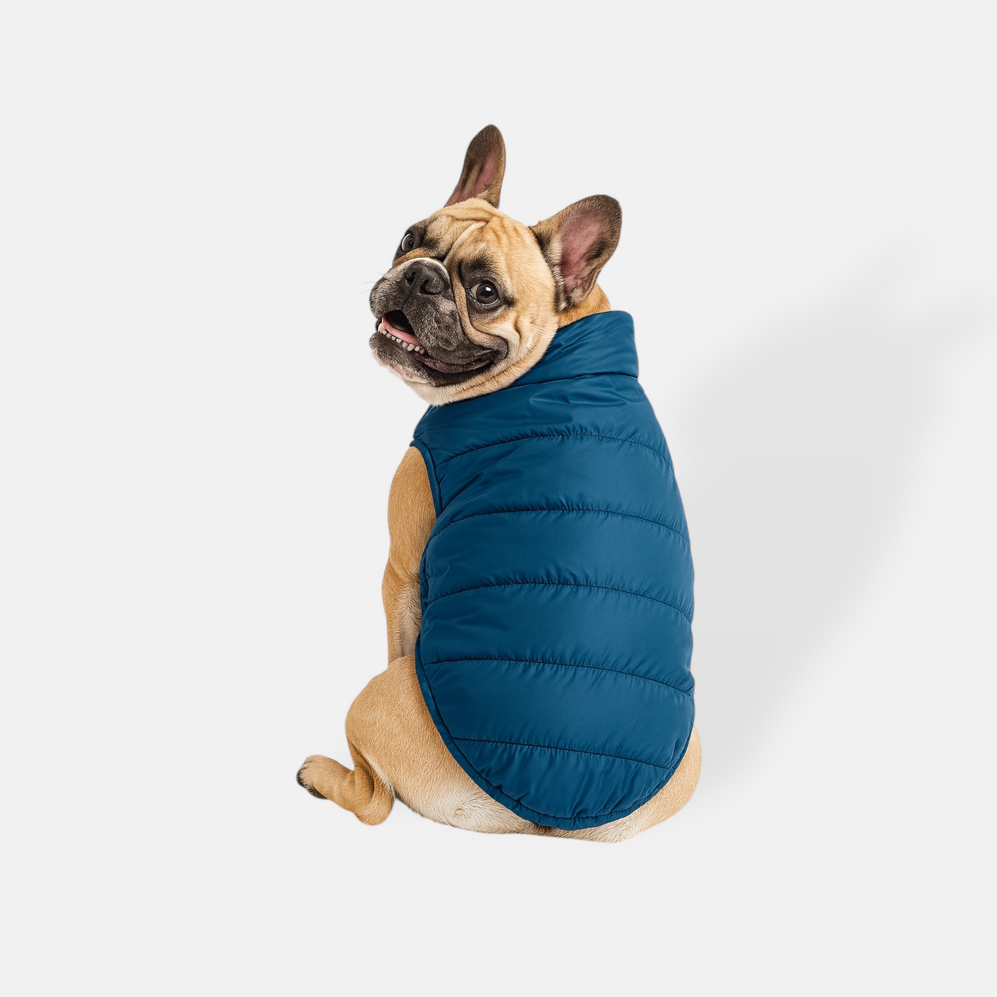 Chaleco Green Vest Trendy